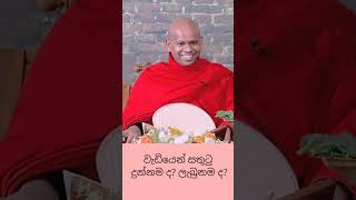 වැඩියෙන් සතුටු දුන්නමද 💫ලැබුනමද💫bana banakatha dharmadeshana welimadasaddhaseelathero [upl. by Ennahtur]