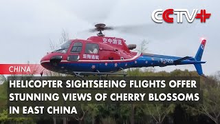 Helicopter Sightseeing Flights Offer Stunning Views of Cherry Blossoms in East China [upl. by Llednik]