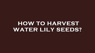 How to harvest water lily seeds [upl. by Sigismond203]