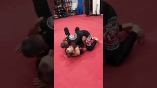 Guard Pass Drills judo mma jiujitsu bjj judo bjjlifestyle asymmetricaljiujitsu [upl. by Ahsatak]