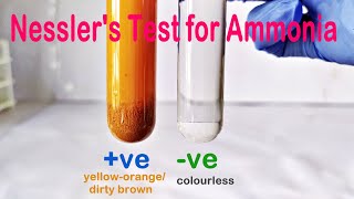 Nesslers Test Practical Experiment [upl. by Orthman]