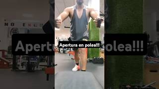 Apertura en polea  pectoral workout [upl. by Anairuy]