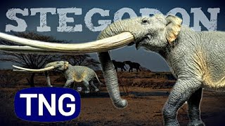 2023 TNG Stegodon Review Their best model so far [upl. by Mikaela]