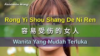 Rong Yi Shou Shang De Ni Ren  容易受傷的女人  雷婷 Lei Ting Wanita Yang Mudah Terluka [upl. by Ralyks]