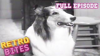 Lassie  The Bonnet  Full Episodes  Old Cartoons  Old Cartoons [upl. by Mirna]