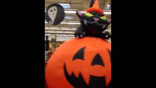 Gemmy Halloween Inflatable Animated Cat on a Pumpkin [upl. by Flo339]