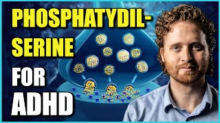 Phosphatidylserine Benefits For ADHD The Research Explaining Why [upl. by Elconin460]