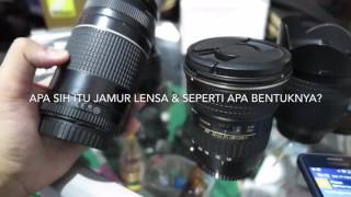 MEMAHAMI APA ITU JAMUR LENSA amp BENTUK JAMUR PADA LENSA KAMERA DSLR [upl. by Arielle630]