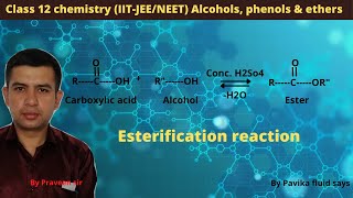 Esterification reaction [upl. by Trebo897]