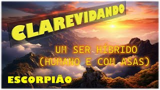 ♏️ESCORPIÃO🌞CLAREVIDANDO🌞FREQUÊNCIAS DIFERENTES🌞IRÁ COMPROVAR NOS PRÓXIMOS 7 MESES🌞 [upl. by Nwahsor]