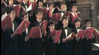 Pueri Cantores della Cappella Sistina  35 [upl. by Hesoj]