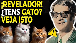 O Que CHICO XAVIER Previu Para Quem Tem GATO EM CASA Já Começou e TODOS ESTÃO ASSUSTADOS [upl. by Okier]