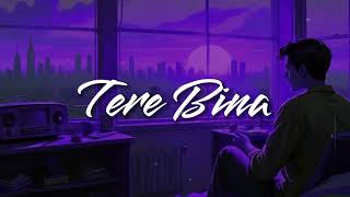 New Hindi Song lofi SlowedReverb Tere bina Lofi Song [upl. by Yessak]