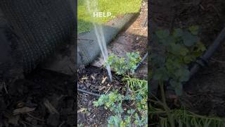 Repairing reticulation in Perth💧 Fixing leak after leak ReticRepairs ReticulationRepairs [upl. by Orodoet687]