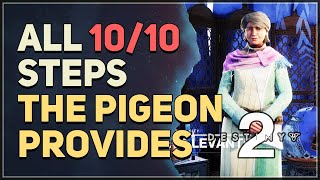 All 10 Steps The Pigeon Provides Destiny 2 [upl. by Annahtur]