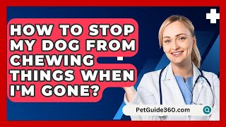 How To Stop My Dog From Chewing Things When Im Gone  PetGuide360com [upl. by Nathanial]