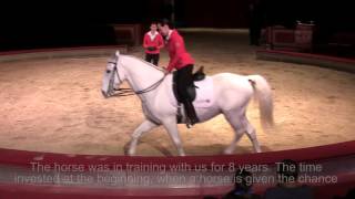 30jähriger Lipizzaner bei Fachtagung 2015 Anja Beran amp Jana Mandana with English subtitles [upl. by Watson]