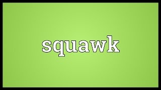 Squawk Meaning [upl. by Trina]