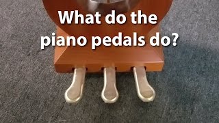 What do the pedals on a piano do  Cunningham Piano Company Philadelphia King of Prussia PA [upl. by Aisena]