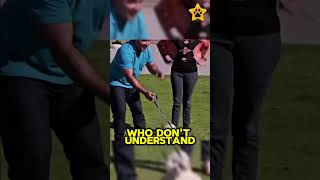 Dog using teeth dogs animals dogbodylanguage doglover dogmanners pets dogperson fluentpet [upl. by Hippel]