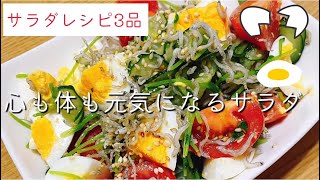 野菜を食べて元気な体に【野菜サラダ】鉄分・カルシウムたっぷり！絶品サラダ [upl. by Ruder]