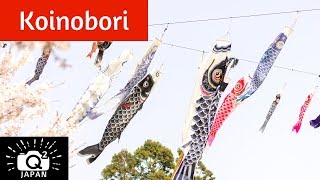 Tokunaga Koinobori in Okayama Japan 徳永鯉のぼり [upl. by Shalna]