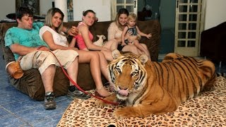 Living With Tigers Family Share Home With Pet Tigers [upl. by Stephani]