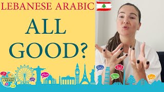 LEARN LEBANESE ARABIC LEVANTINE LANGUAGEDIALECT MEESHE L 7AAL [upl. by Bollay]