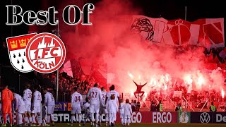 Best of 1 FC Köln UltrasFans [upl. by Aihsetan]