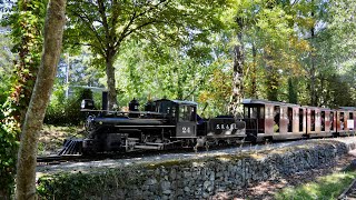 Trago Railways  Bickington Steam Railway  12th August 2024 [upl. by Eveline127]