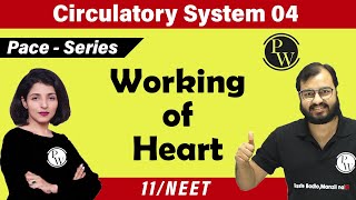 Circulatory System 04  Working of Heart  Class 11 NEET  PACE SERIES [upl. by Ariak709]