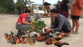 Selling chickens and agricultural products Robert  Green forest life [upl. by Andi163]