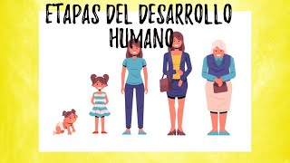 Etapas del desarrollo humano  video educativo [upl. by Vannie]