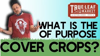 Purpose of Cover Crops [upl. by Ruzich]