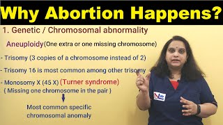 Abortion  Definition Classification and Causes of Abortion  Nursing Lecture [upl. by Dominic145]