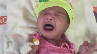 Newborn baby crying for feeding also Preterm Newborn Baby 16 kg [upl. by Mcnally]