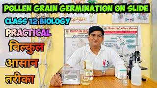 Pollen Grain Germination Slide Preparation Experiment Class 12th Biology With Hindi Explanation [upl. by Dhiman]