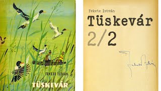 Tüskevár hangoskönyv  Fekete István 22 [upl. by Akihc181]