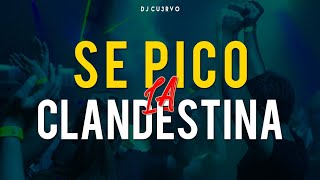 •🔥 SE PICO LA CLANDESTINA 4 🔥•  ALTA JODA  FIESTA 2021  LO MEJOR   DJ Cu3rvo [upl. by Yanaton539]