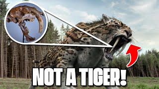 The Tiger That isnt a Tiger  Saber Tooth [upl. by Nonarb]