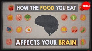 How the food you eat affects your brain  Mia Nacamulli [upl. by Mencher]