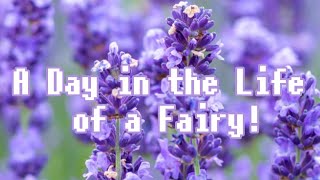 A Day in the Life of a Fairy Fairy School [upl. by La Verne420]