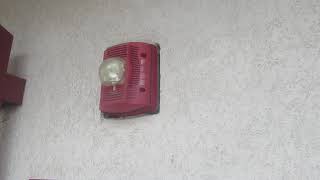 System Sensor SPSR SpectrAlert Advance Speaker Strobe Fire Alarm [upl. by Elison]