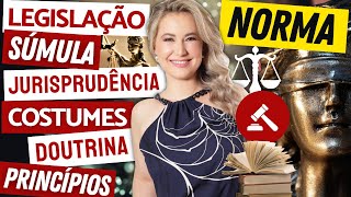 INTRODUÇÃO AO DIREITO  Norma Legislação Jurisprudência Súmula Costumes Doutrina e Princípios [upl. by Ahsier]