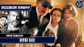 ❖ HOVNO HOŘÍ  Petr Šabach  Rozbor knihy  LUKAS IV HOUSE [upl. by Inohtna420]