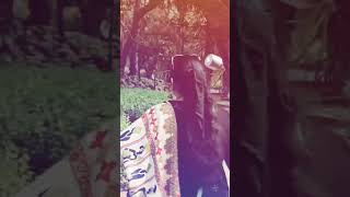 Paliwal park mini vlog 💗💗travel vlogs park [upl. by Nylorac]