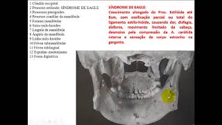 ANATOMIA ÓSSEA DA CABEÇA PARA ODONTOLOGIA PARTE 2 [upl. by Osnofedli]