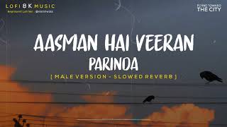 Aasman hai veerana jahan hai khali khali  Parinda Full Song Male Version Lofi [upl. by Aniala]