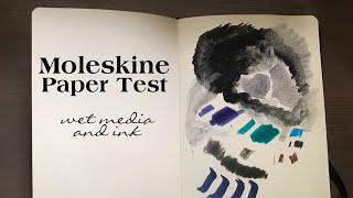 Moleskine Art Collection Sketchbook Paper Test [upl. by Matthias]