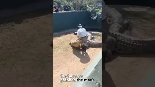 Zoo keeper regretted why he came to work that day animals crocodile [upl. by Aerdnac]